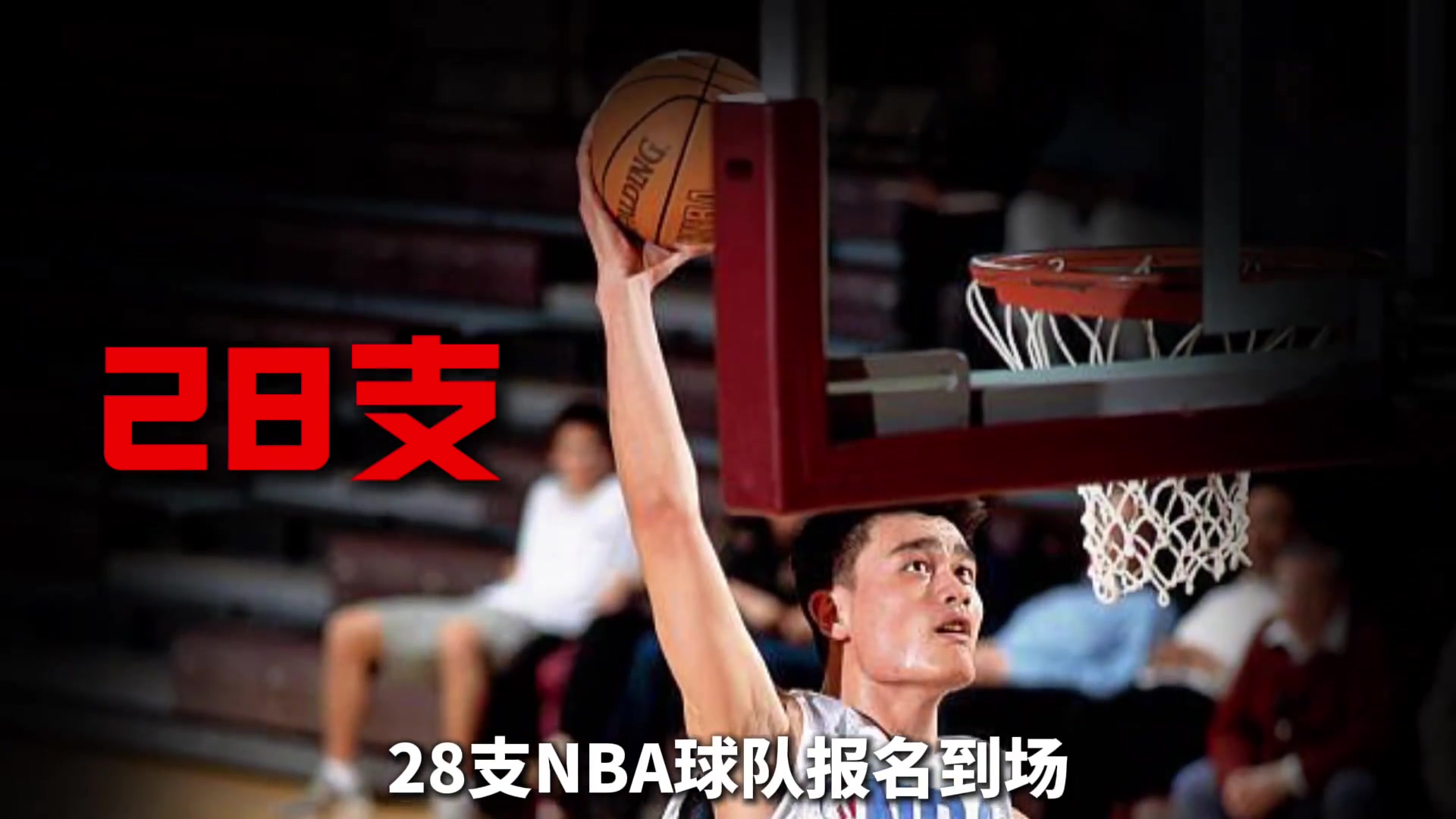 為了考察菜鳥姚明 NBA居然舉辦了歷史上規(guī)模最大的一次試訓！