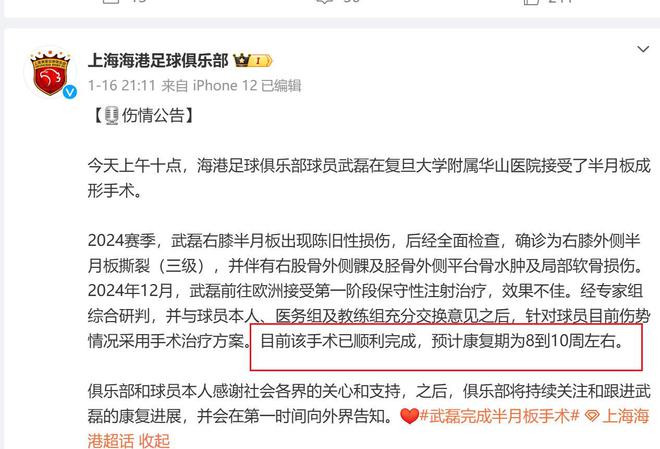 申花海港傷病球員盤點，一月至三月豪華陣容集結(jié)