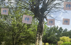 申花俄帥指揮神，換五人皆進(jìn)球。