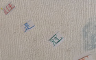 中超11輪，冠軍之爭顯露，海港無需多慮。
