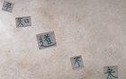 真敢言！國安主帥賽蒂恩，知場地差則不來。