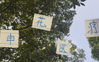 申花醫(yī)療投資見效，除阿馬杜外，隊員快速恢復(fù)。