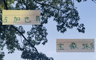 蔣內(nèi)傷，大連賽，馬艾誰(shuí)得機(jī)？