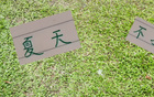 申花領(lǐng)先6分，國(guó)安續(xù)約烏，夏窗穩(wěn)定。