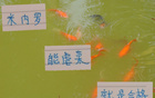 中超強(qiáng)隊(duì)，米內(nèi)羅申花C位，前鋒穩(wěn)虐，實(shí)力合格。