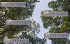申花米內(nèi)羅職場(chǎng)專業(yè)，假期仍訓(xùn)練，加班發(fā)圈感。