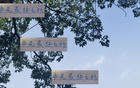 申花后勁不足，去年已現(xiàn)。海港、國安仍有翻盤機(jī)會。