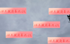 武磊傷退，海港備戰(zhàn)補(bǔ)賽。