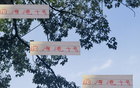 巴爾加斯助新東家保級，中超外援價(jià)值凸顯