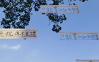 聽賀偉解說(shuō)，國(guó)足世預(yù)賽免費(fèi)直播，央視待定。