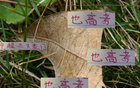 中超豪門6月7日戰(zhàn)，海港進球7粒領(lǐng)跑