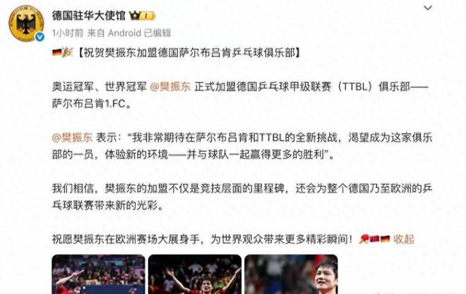 樊振東德甲6天，三大益處顯，俱樂部贊其瘋狂。