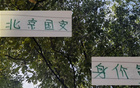 北京國(guó)安身價(jià)高，申花下滑，御林軍爭(zhēng)冠需策略。