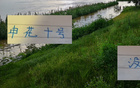 路替代，特?zé)o可替代，申花10號幸免停賽。