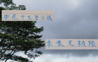 申花新星19歲國腳，聯(lián)賽三球，超越米內(nèi)羅。