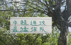 北京國安攻擊力強，海港申花進球數(shù)平。