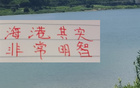 海港明智，無(wú)奧斯卡仍爭(zhēng)前四；山東艱難，缺費(fèi)萊尼。