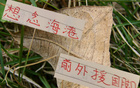 中超三強(qiáng)，海港缺國(guó)腳外援，奧斯卡思念球迷。