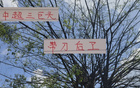 中超三巨頭現(xiàn)役，誰為真刀鋒？海港張琳芃，申花蔣圣龍。
