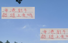 申花失中超最佳射手之望，海港萊昂納多能否趕超？
