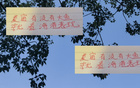 深圳申花等隊(duì)引外援國(guó)腳，夏窗期待海港大魚。