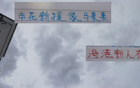 上海雙雄懷舊情，申花新援似馬萊萊，海港風格直白。