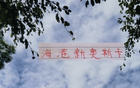 海港迎奧斯卡，非巴西11號(hào)。