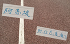 阿蘇埃加班敬業(yè)，申花新援滿分態(tài)度！