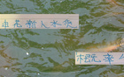 申花新星赤幾表現(xiàn)佳，張玉寧級(jí)地位，實(shí)力非水貨。