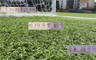 武磊雖離江湖，仍助海港獲奧斯卡風(fēng)范。