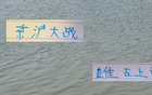 京滬大戰(zhàn)，申花體力消耗大，國安占優(yōu)。