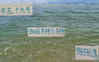 申花19號破防，馬萊萊、米神難及。