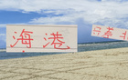 海港投入巨資，17輪后僅差北京國(guó)安1分，表現(xiàn)可嘉。