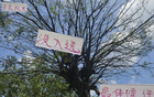 中超17輪，最佳球員候選無(wú)吳曦，如何達(dá)成？