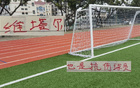 維塔爾與奧斯卡相似之處：不易受傷。