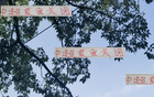 夏窗收官，四隊顯高級風(fēng)范。
