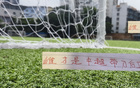 蔣圣龍VS提莫，誰為中超最佳帶刀中衛(wèi)