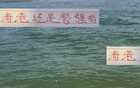 精挑細選，預算有限，海港仍能躋榜二，實力非凡。