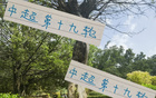 周末申花云南高原賽，阿蘇埃赤道南能否進(jìn)第四球？