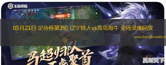 05月21日 足協(xié)杯第3輪 遼寧鐵人vs青島海牛 全場(chǎng)錄像回放