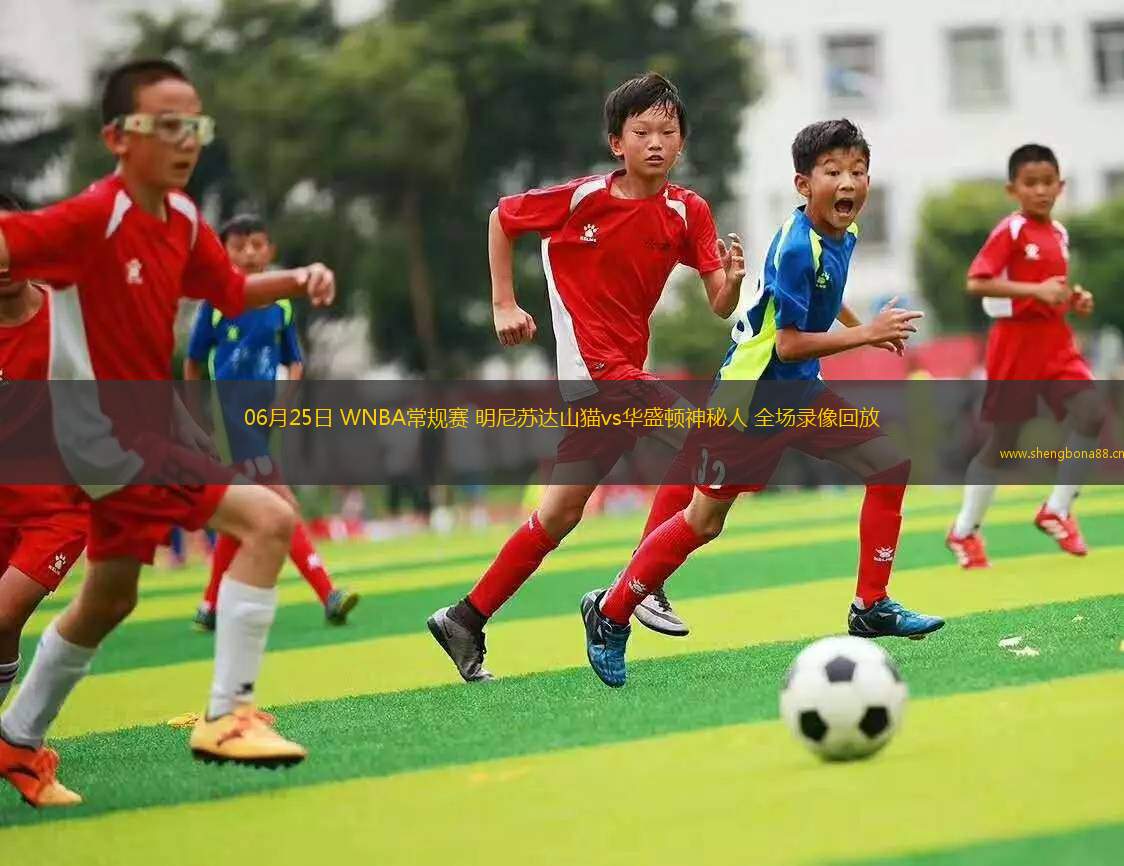 06月25日 WNBA常規(guī)賽 明尼蘇達(dá)山貓vs華盛頓神秘人 全場(chǎng)錄像回放