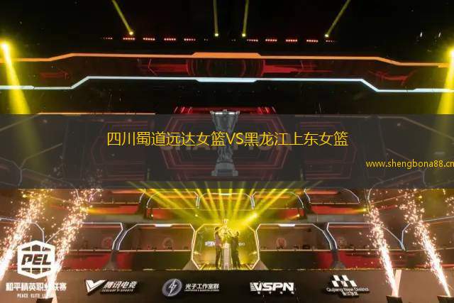 四川蜀道遠(yuǎn)達(dá)女籃VS黑龍江上東女籃