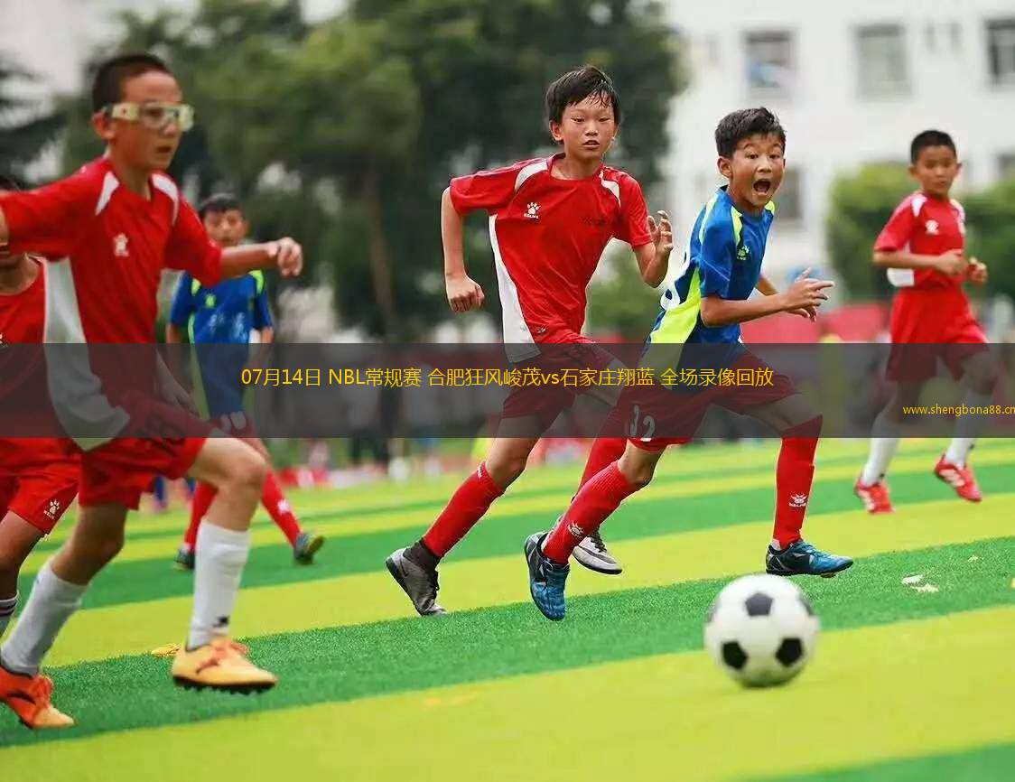 07月14日 NBL常規(guī)賽 合肥狂風(fēng)峻茂vs石家莊翔藍(lán) 全場(chǎng)錄像回放
