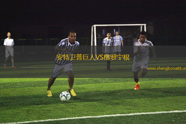 安特衛(wèi)普巨人VS格羅寧根