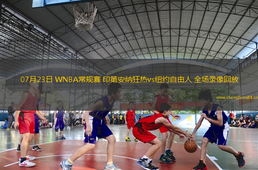 07月23日 WNBA常規(guī)賽 印第安納狂熱vs紐約自由人 全場(chǎng)錄像回放