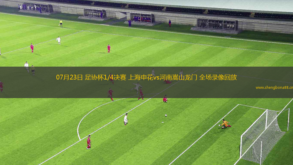 07月23日 足協(xié)杯1/4決賽 上海申花vs河南嵩山龍門 全場(chǎng)錄像回放