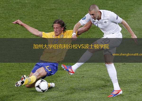 加州大學伯克利分校VS波士頓學院