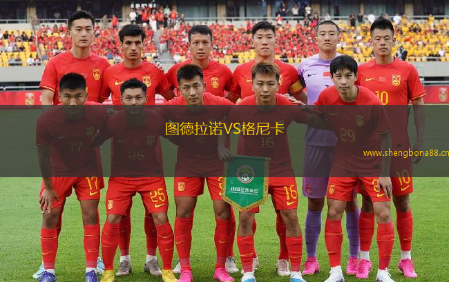 圖德拉諾VS格尼卡