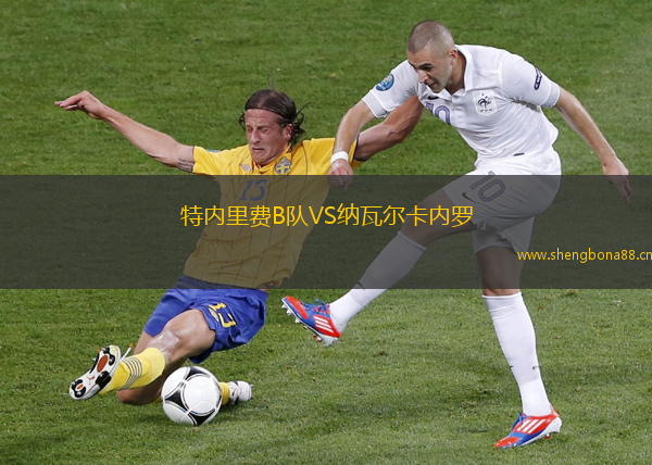 特內(nèi)里費(fèi)B隊(duì)VS納瓦爾卡內(nèi)羅 特內(nèi)里費(fèi)B隊(duì)VS納瓦爾卡內(nèi)羅