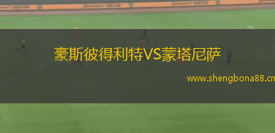 豪斯彼得利特VS蒙塔尼薩